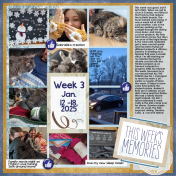 Project Life Week 3 2025