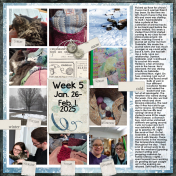 Week 5 2025