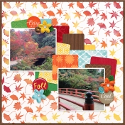 Fall in Japan