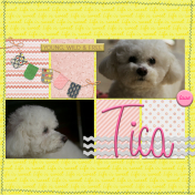 Tica