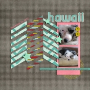 Hawaii 003