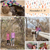 Lovely Fall Walk- November 2020