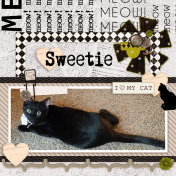 My kitty Sweetie