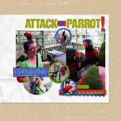 Attack by Parrot