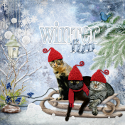 Winter Fun