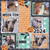 P52 2024 Week 10