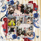 P52 Week Five 2025 Part One