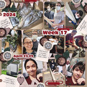 P52 2024 Week 17