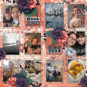 Week 7 Part 2 2025 P52