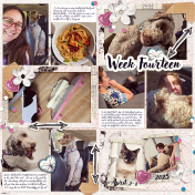 P52 Project Life Week 14