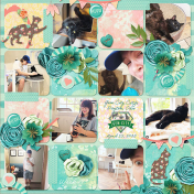 Project Life 2025 Week 17 Catfe 2