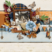 beautifall echo captured