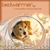 Bedwarmer