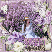 Sweet Scents