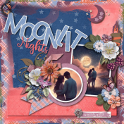Moonlit Nights