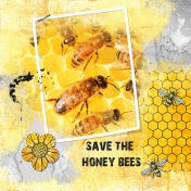 Save the Honey Bee