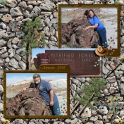 The Petrified Forest 