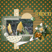 Tulpen- Tulips