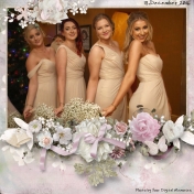 The Bridesmaids