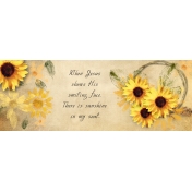 Sunflower fb cover