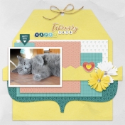 Layout Templates kit #53-The good life February 2020