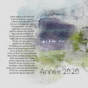 Année 2020