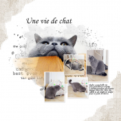 Une vie de chat