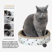 Baloo et le jeu