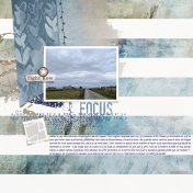 20250223-Focus