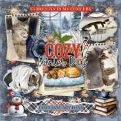 Cozy Winter Day