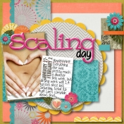 Scaling Day Feb.2nd