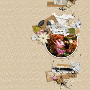 BLOOM (Abelia flower)