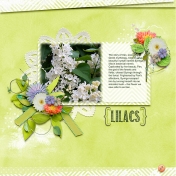 Lilacs