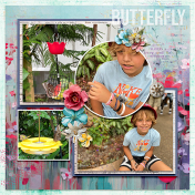 Butterfly (Sam)