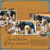 Fun with Puppies