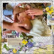 Family Hands