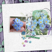 Forget me not (collection) by Art & Life Scraps