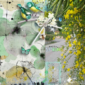 Hello Spring (2024)