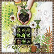 Grow a little garden