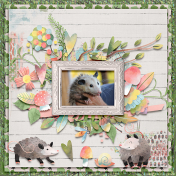 Mr. and Mrs. Opossum