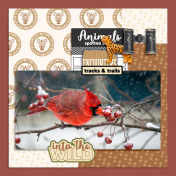 Animal Spotted