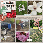 Overgrown March 2025 