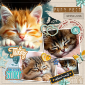 PurrFect 02