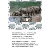 Safari 02