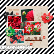 May Flowers