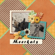 Meerkats again