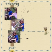 Friendly Goat