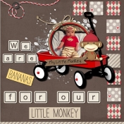 SLM 2017: Squares- Our Little Monkey