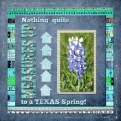 Nothing quite MEASURES UP to a TEXAS Spring!