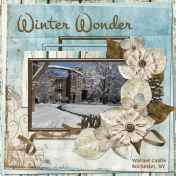 Winter Wonder